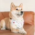 Valentine’s Day Pet Bandana Collar | Heart & Crown Dog Bandana with Adjustable Buckle - Image 5