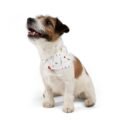 Valentine’s Day Pet Bandana Collar | Heart & Crown Dog Bandana with Adjustable Buckle - Image 7